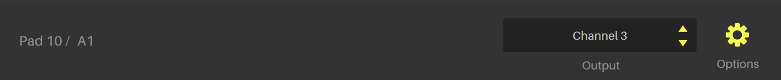 SAMPLE CUES - Optionsrevealed.png